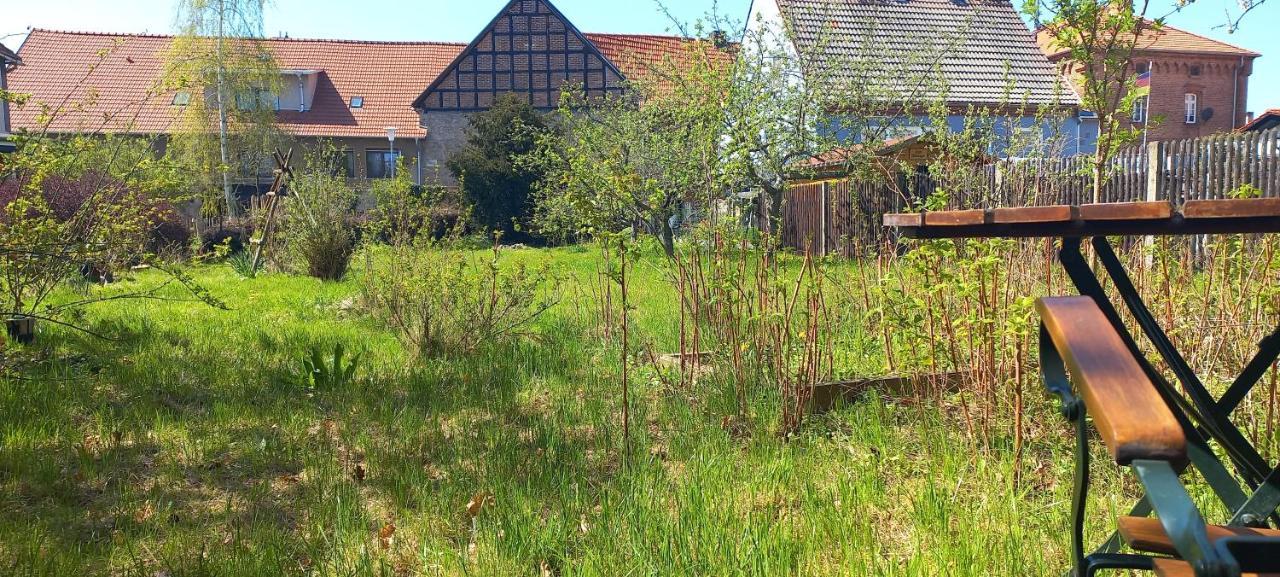 Apartment Mit Herz Im Harz Meisdorf ภายนอก รูปภาพ